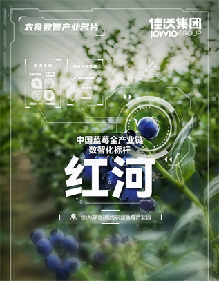 佳沃集团：在云南红河助力蓝莓全产业链数智化升级