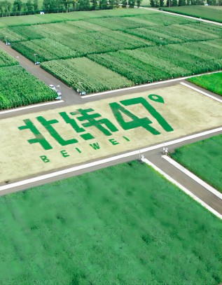 北緯四十七綠色有機食品：農業産業鏈延伸型融合模式