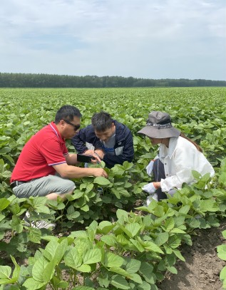 吉林长发现代农业集团：小金豆大产业赋能乡村振兴