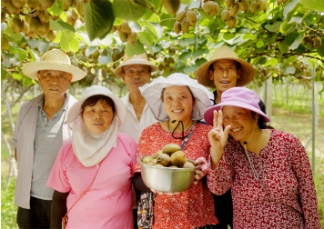淘天集团：数字化助力国产即食猕猴桃产业发展