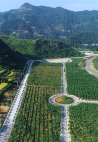 中国联通助力打造糯米蕉全产业链