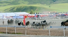 内蒙古兴安盟牛羊肉即将登上淄博“舞台”