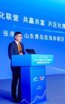 张孝水：探索片区化推进乡村振兴实践新路径