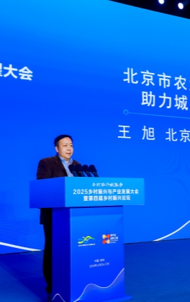 王旭：汇聚金融活水 支持首都乡村振兴