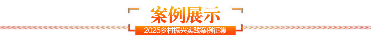 新华网2025乡村振兴实践案例征集启动  乡村振兴实践案例征集