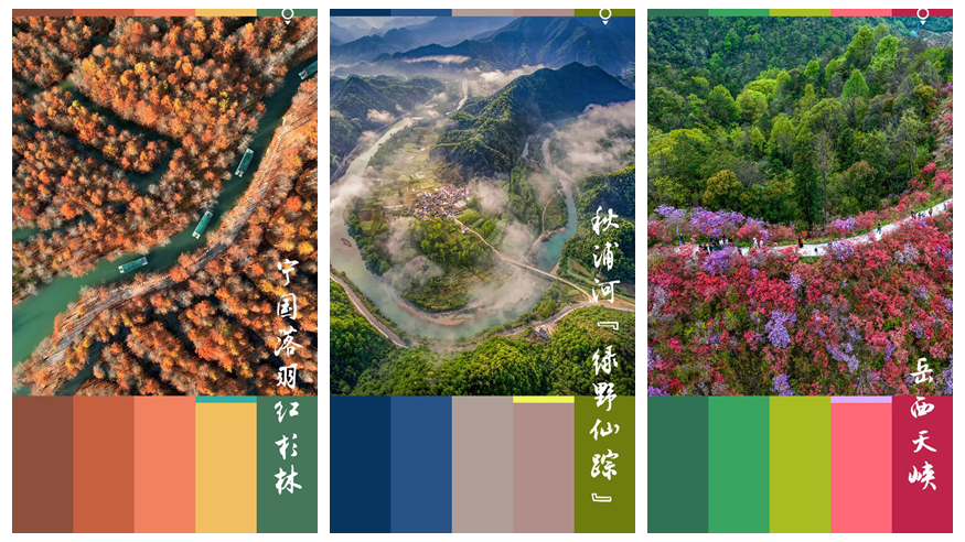 不止青绿，来这里邂逅彩色森林